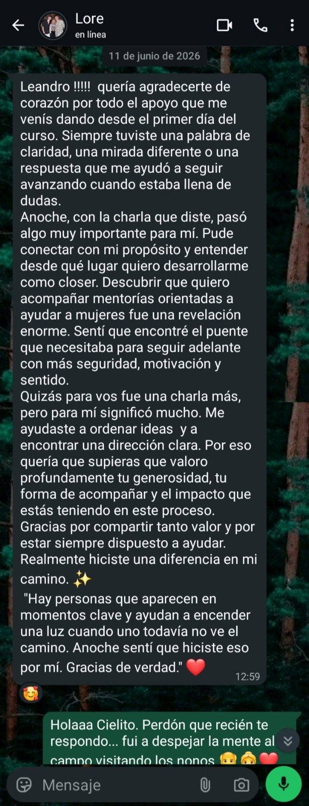 Mensaje privado de Lore a Leandro — 11 de junio 2026